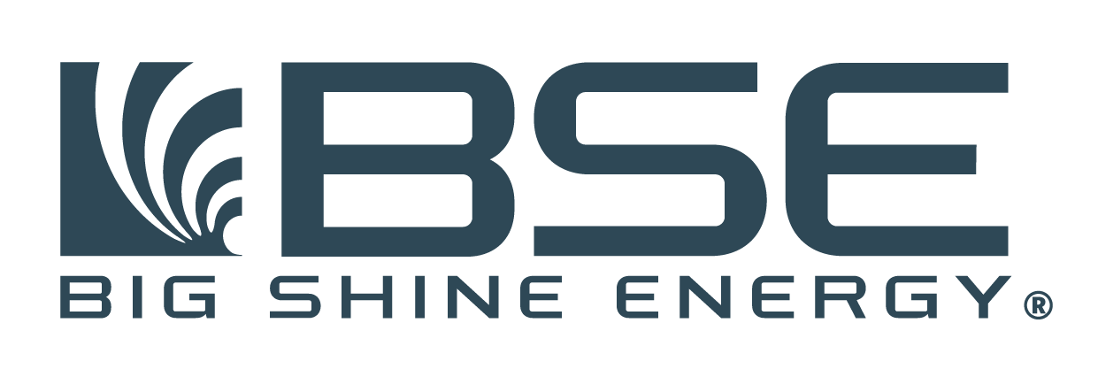 BSE Logo